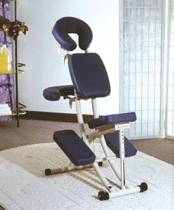 Amazon.com: Oakworks Pkg3539 Portal Pro Massage Chair Package